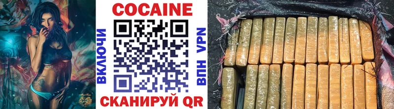 магазин    Киселёвск  Cocaine FishScale 