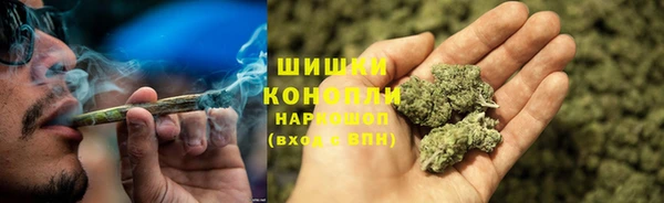 прущие грибы Надым