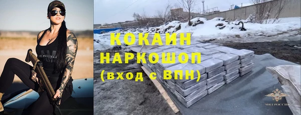 прущие грибы Надым