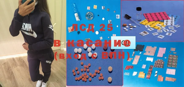 прущие грибы Надым