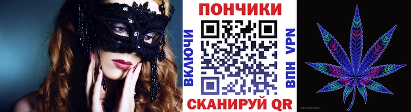 Каннабис сатива где можно купить наркотик Киселёвск